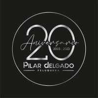 logo 20 pilar
